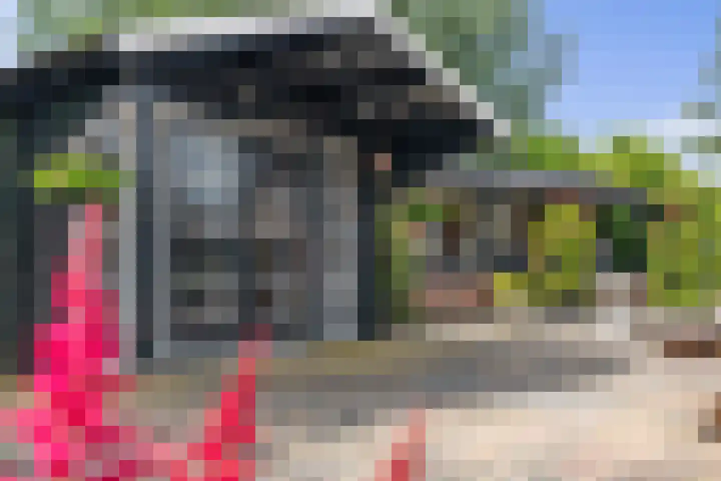 Beekpunge 56 Schoonebeek thumbnail 17
