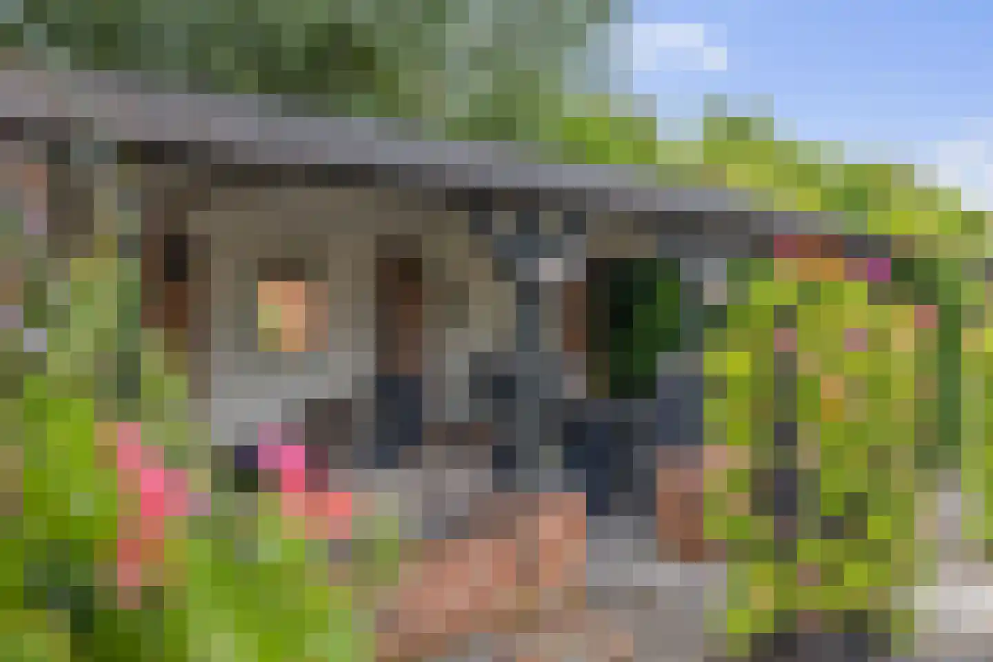 Beekpunge 56 Schoonebeek thumbnail 18