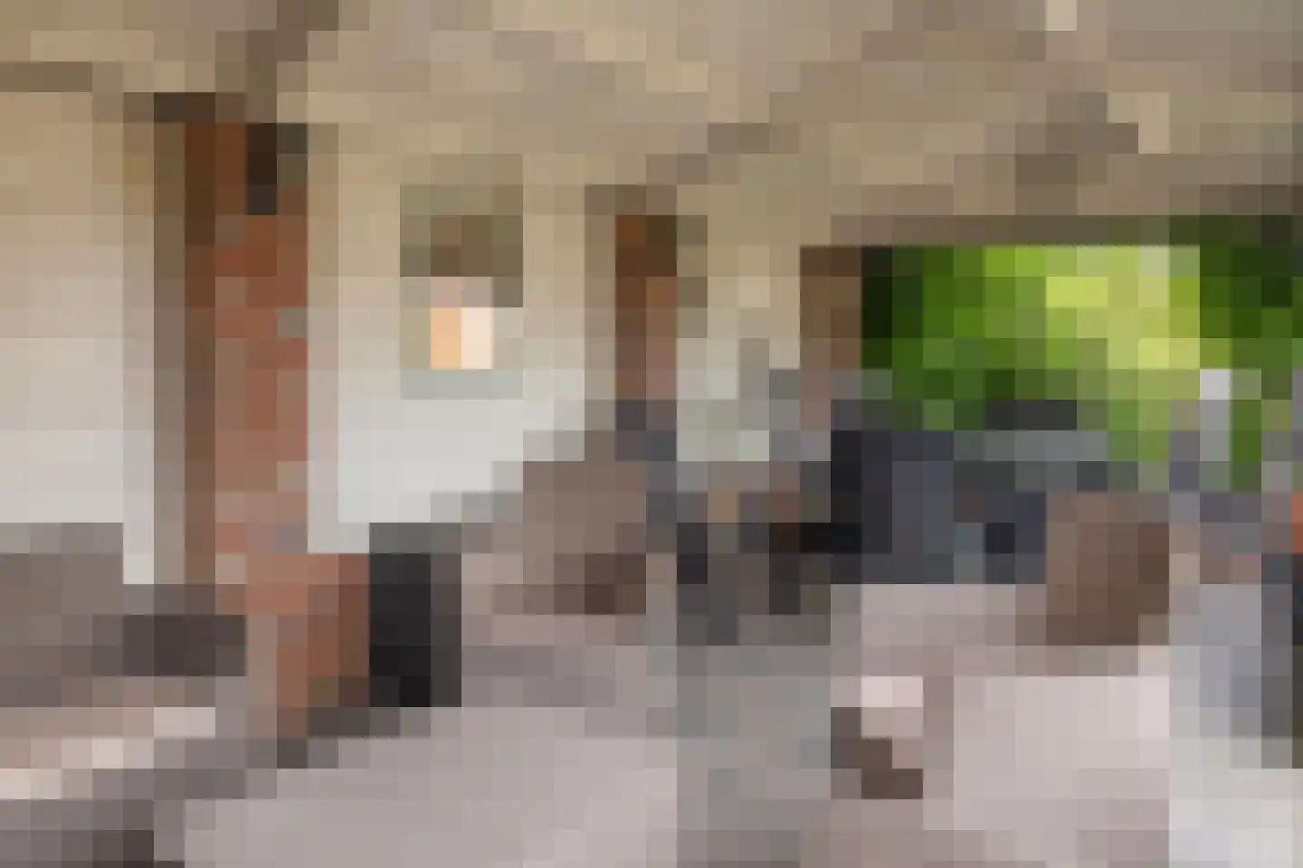 Beekpunge 56 Schoonebeek thumbnail 19