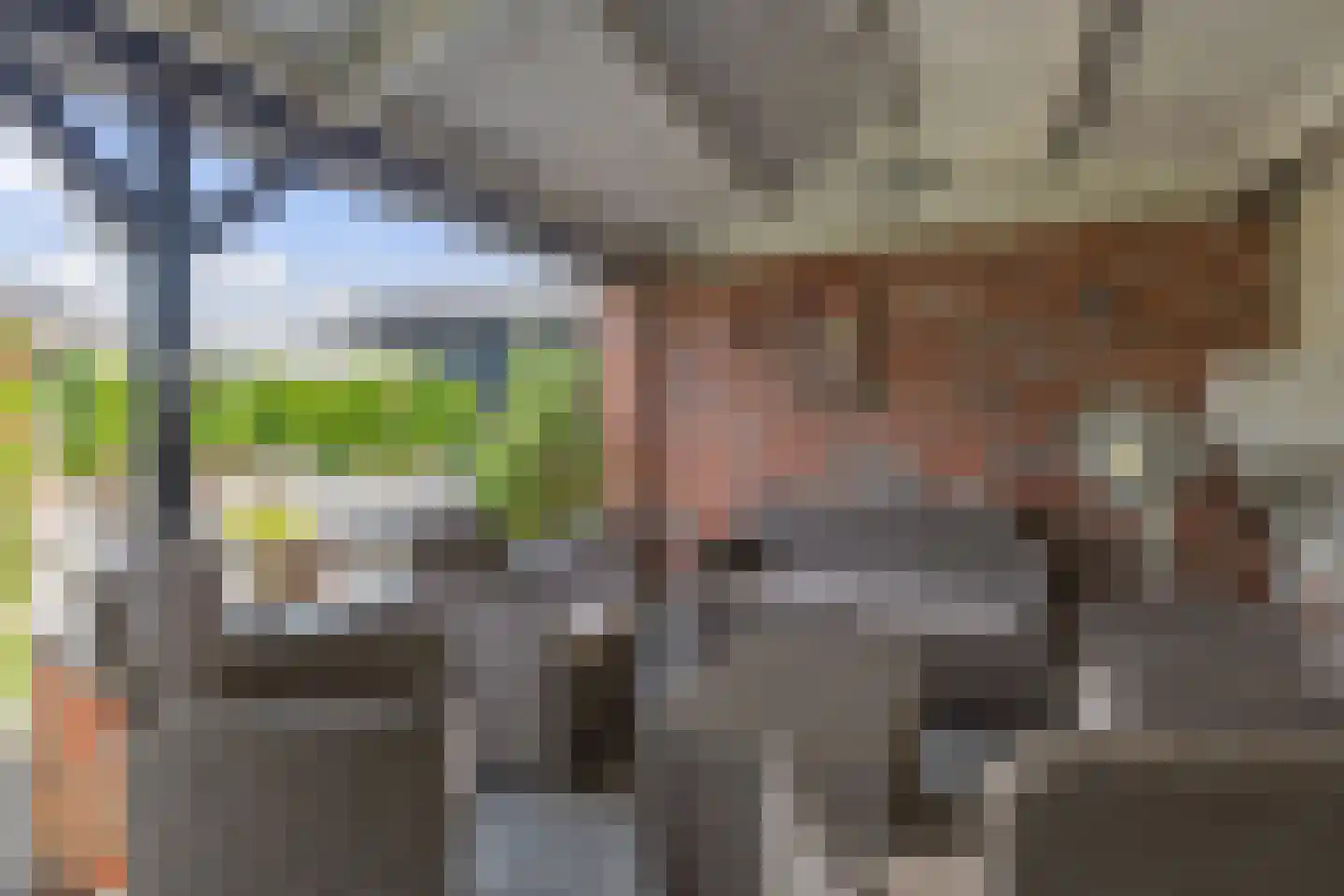 Beekpunge 56 Schoonebeek thumbnail 20