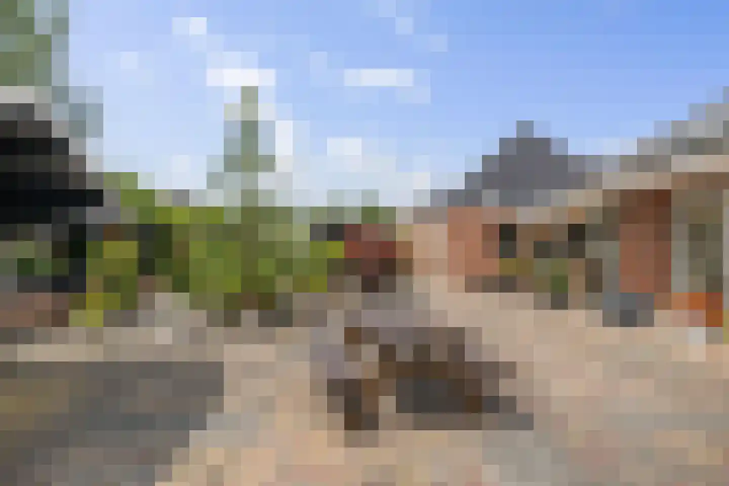 Beekpunge 56 Schoonebeek thumbnail 21