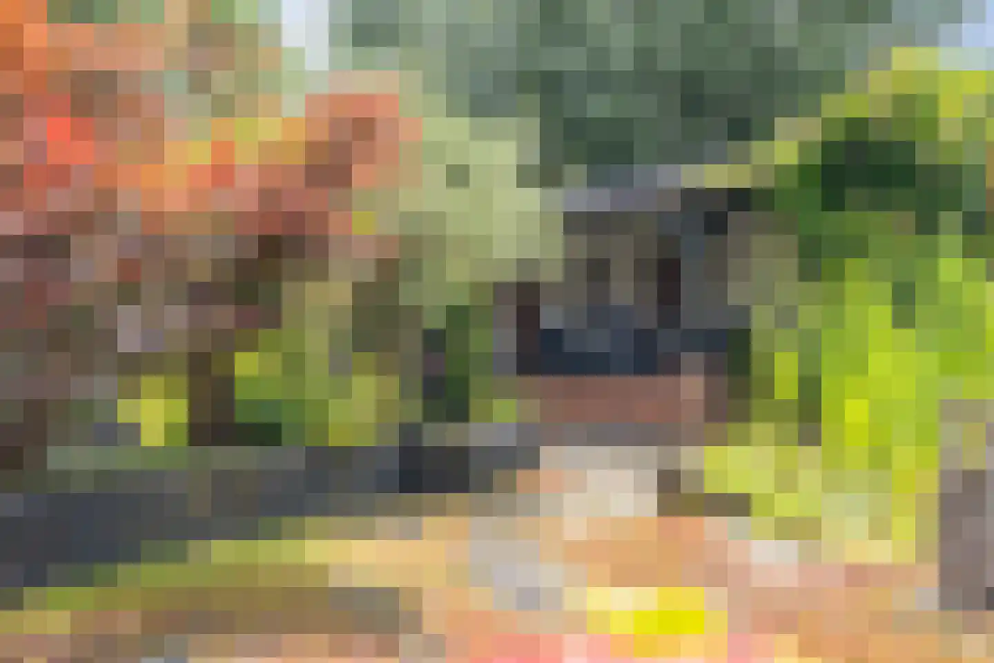 Beekpunge 56 Schoonebeek thumbnail 23