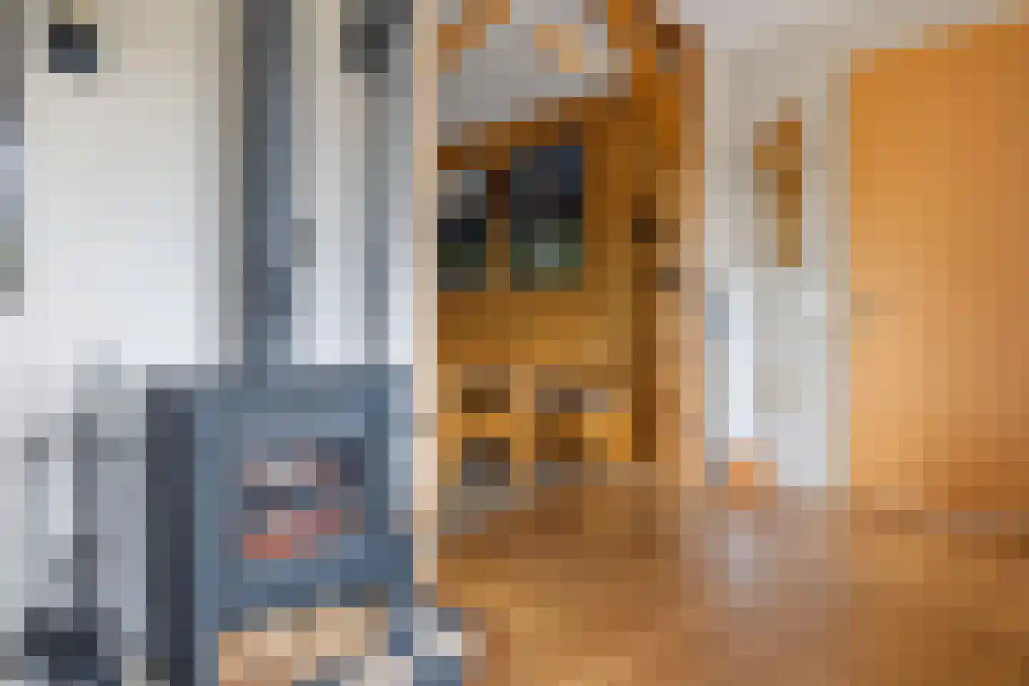 Beekpunge 56 Schoonebeek thumbnail 33