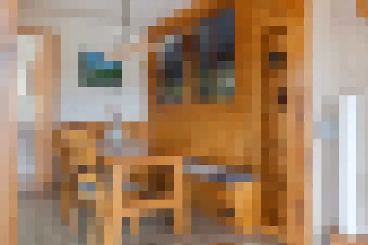 Beekpunge 56 Schoonebeek thumbnail 34