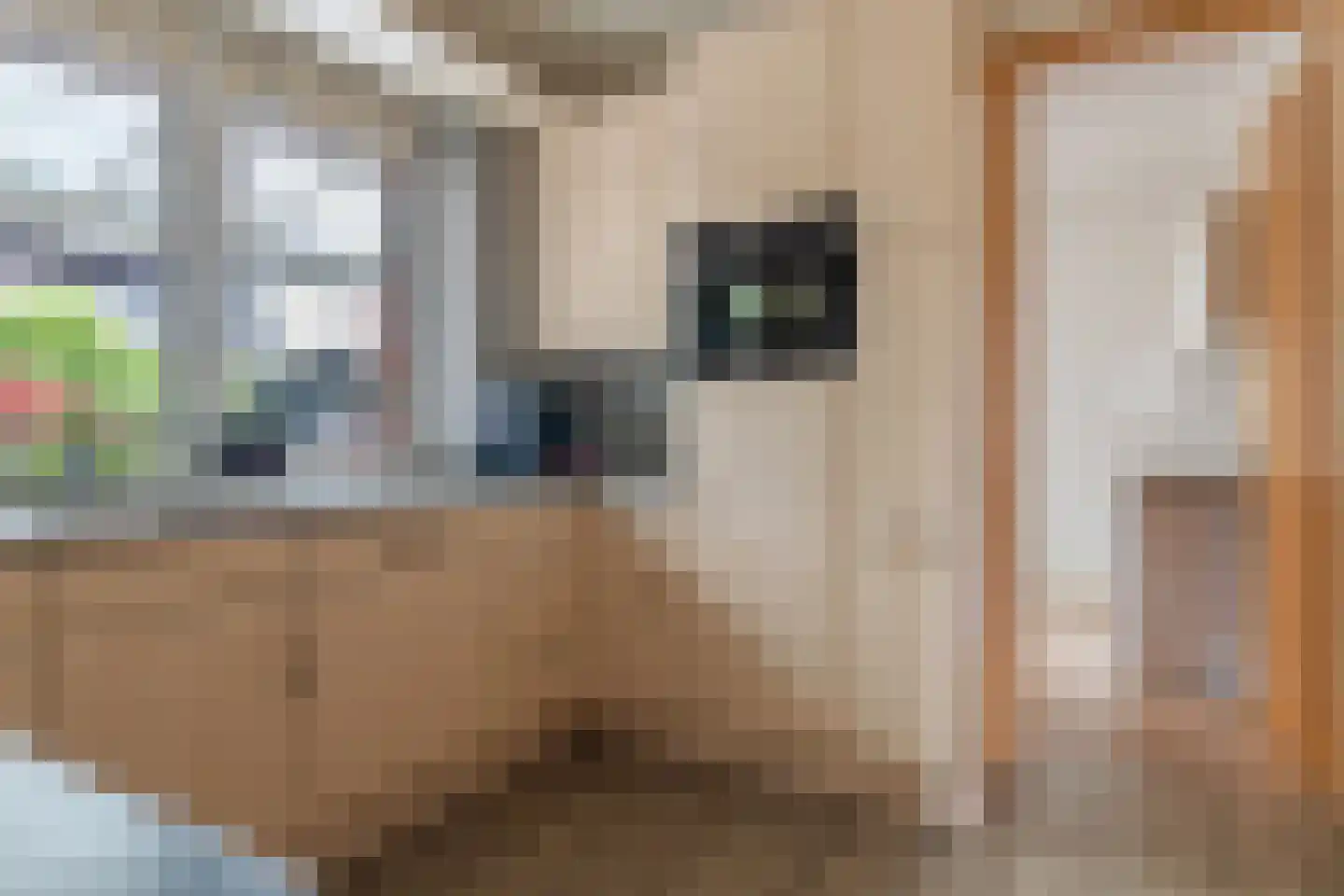 Beekpunge 56 Schoonebeek thumbnail 38