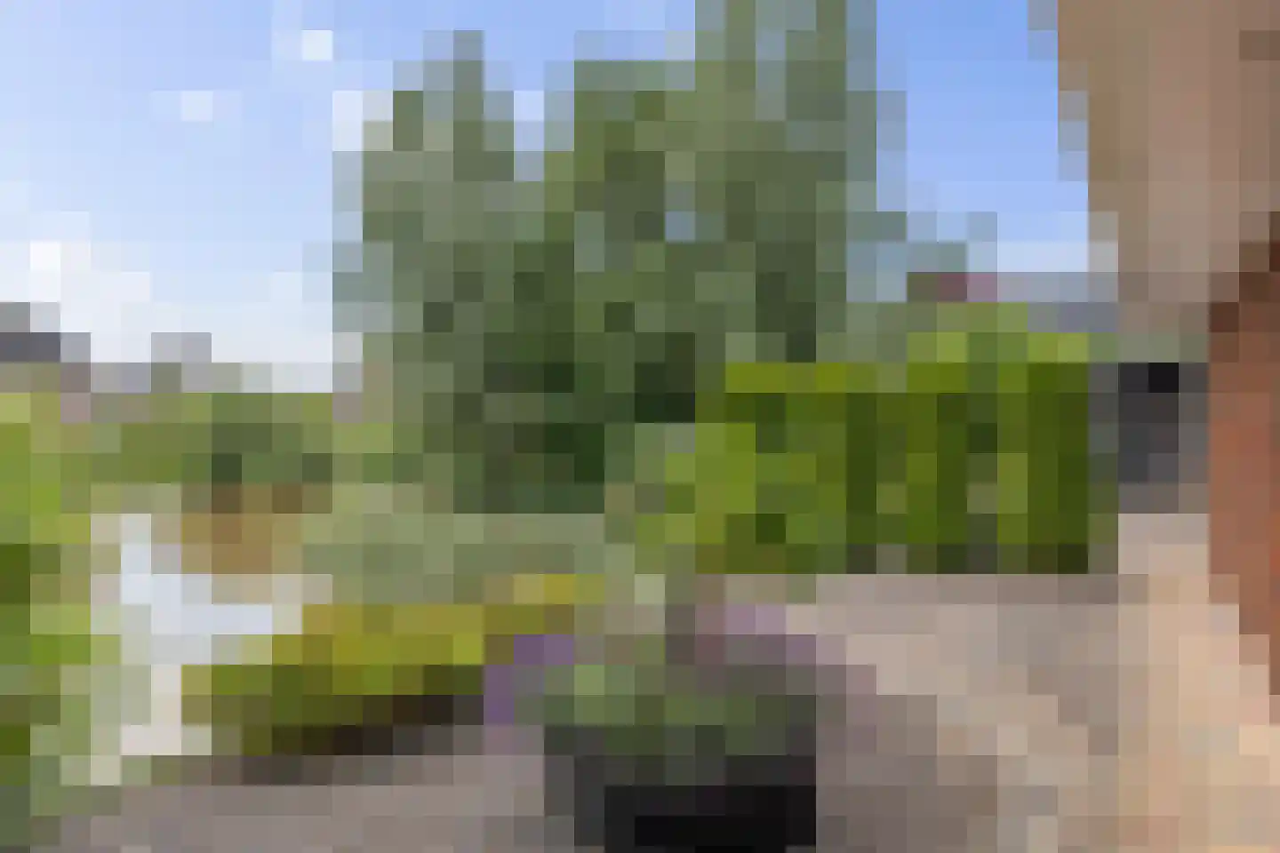 Beekpunge 56 Schoonebeek thumbnail 4