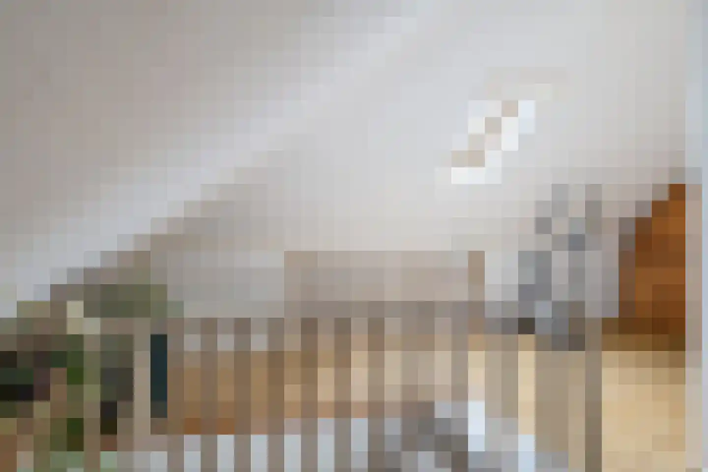 Beekpunge 56 Schoonebeek thumbnail 49