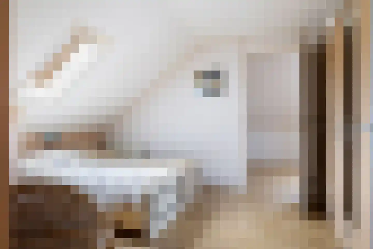 Beekpunge 56 Schoonebeek thumbnail 51
