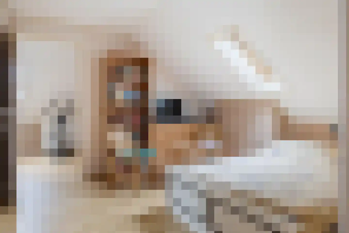 Beekpunge 56 Schoonebeek thumbnail 52
