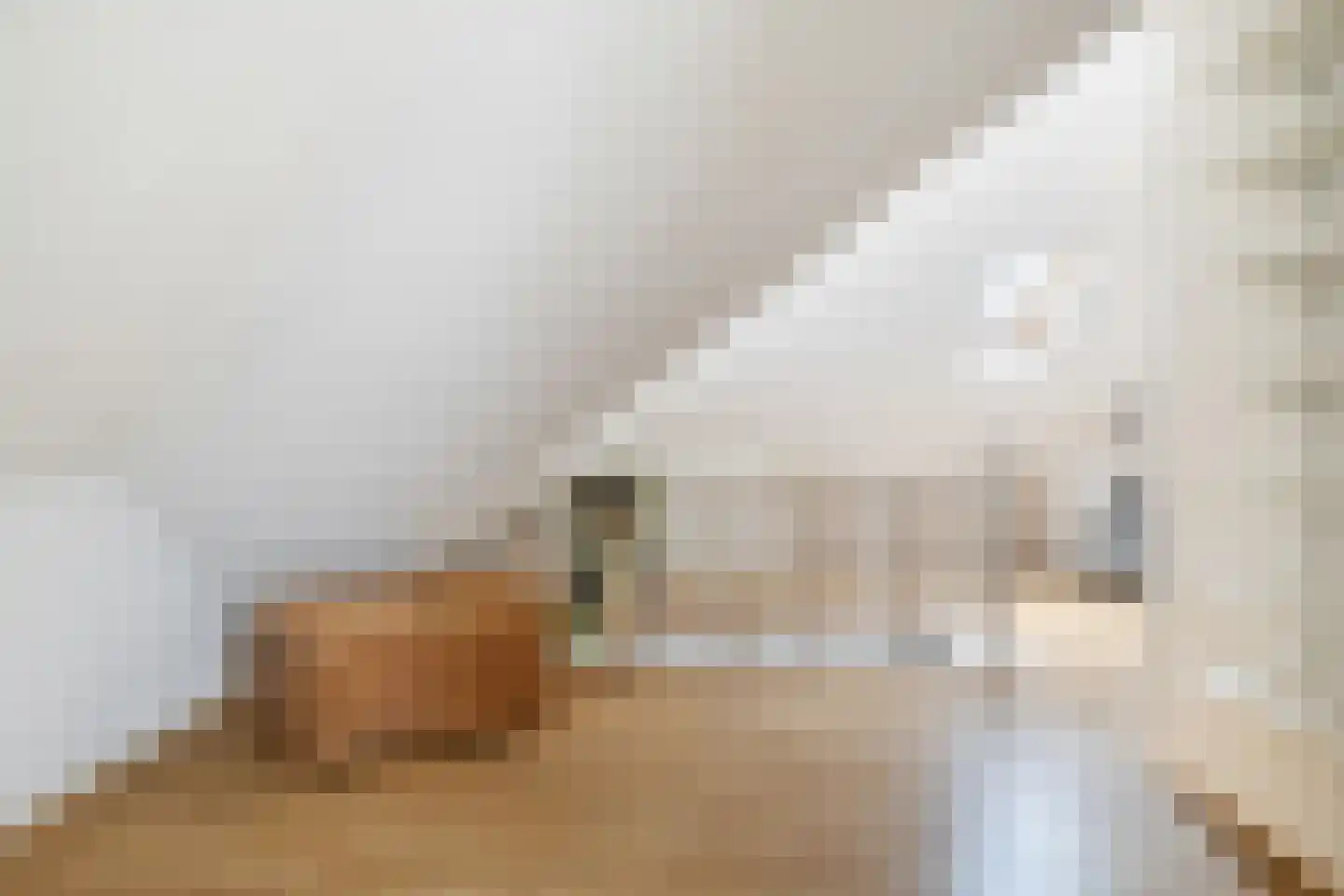 Beekpunge 56 Schoonebeek thumbnail 53