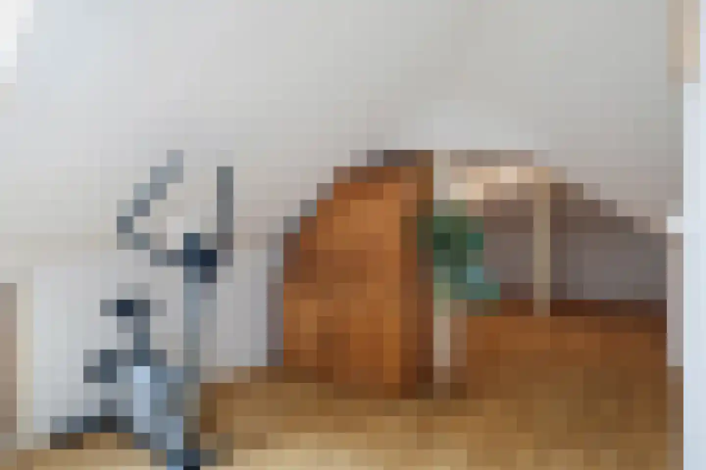 Beekpunge 56 Schoonebeek thumbnail 57