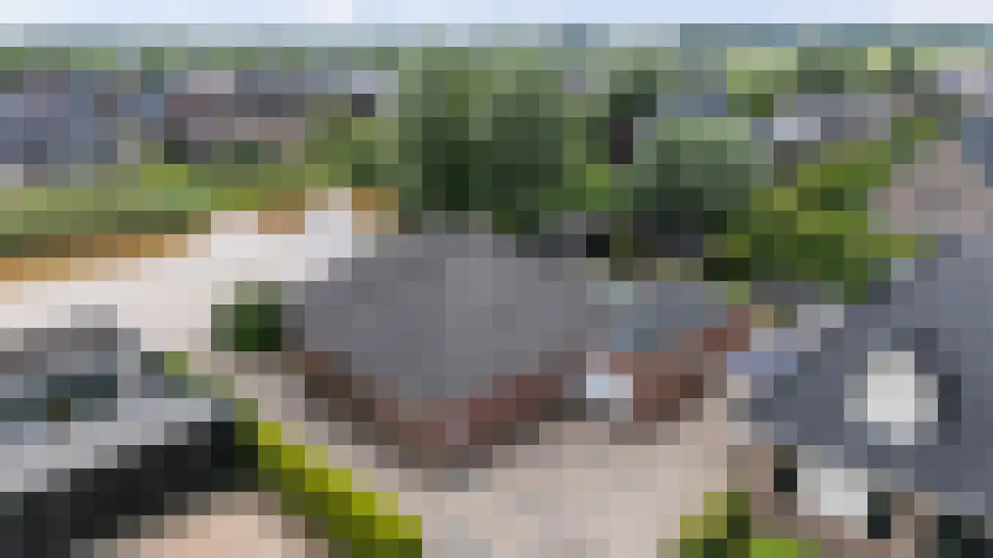 Beekpunge 56 Schoonebeek thumbnail 59