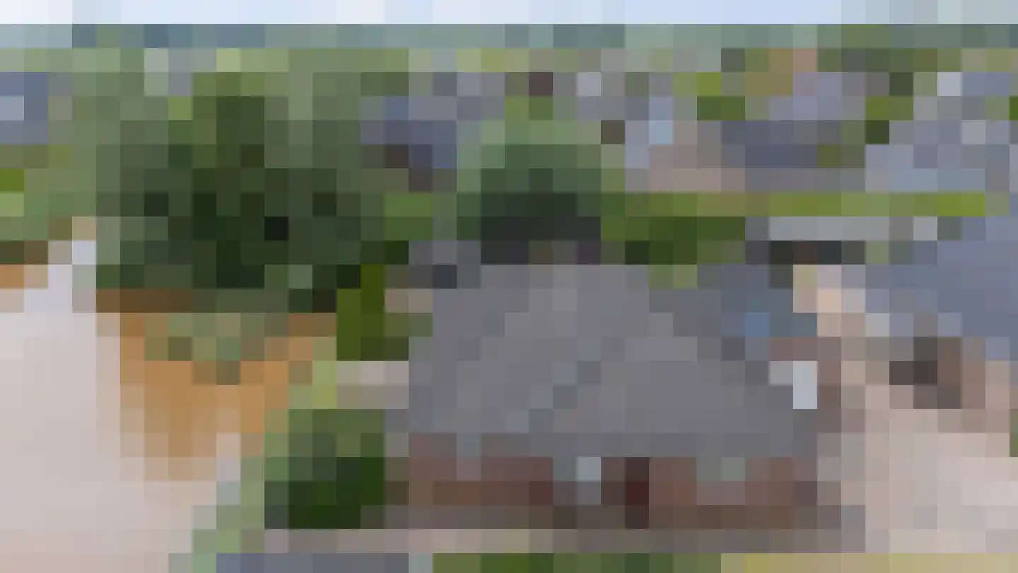 Beekpunge 56 Schoonebeek thumbnail 60