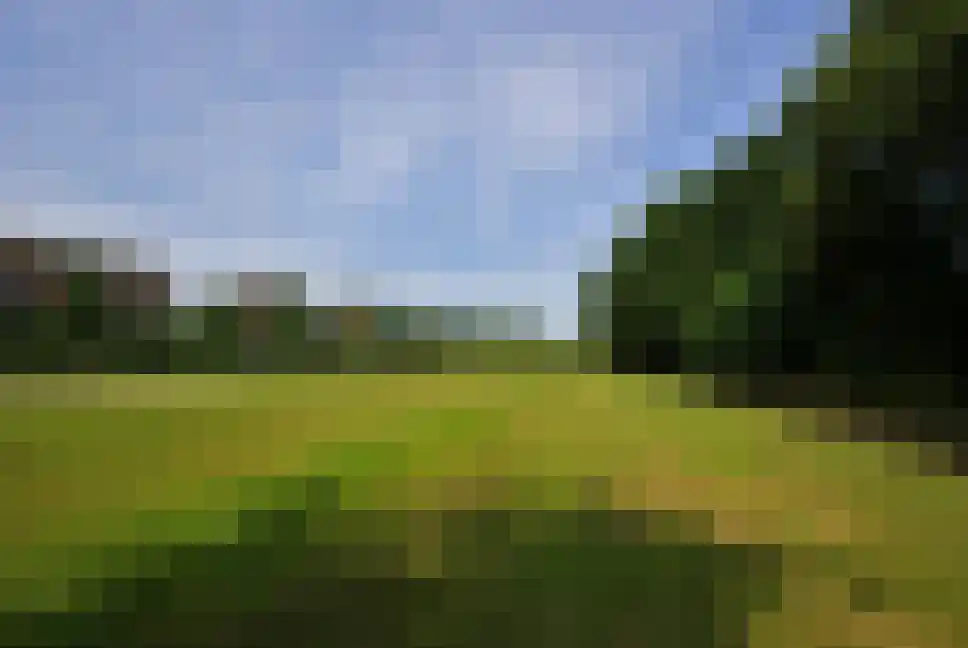 Beekpunge 56 Schoonebeek thumbnail 65