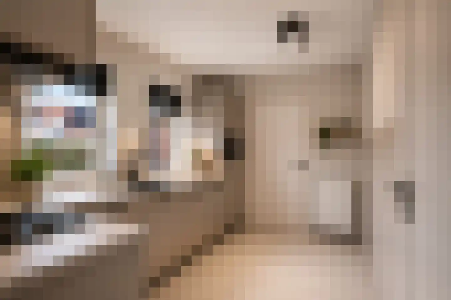 Beeksenhof 12 Oploo thumbnail 10