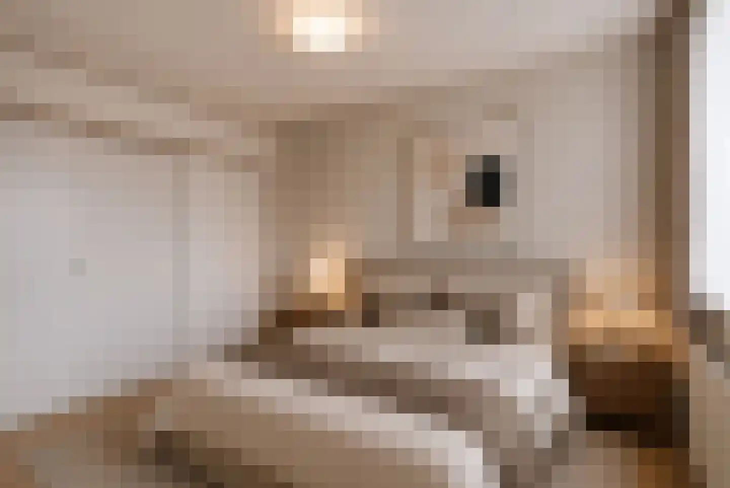 Beeksenhof 12 Oploo thumbnail 15