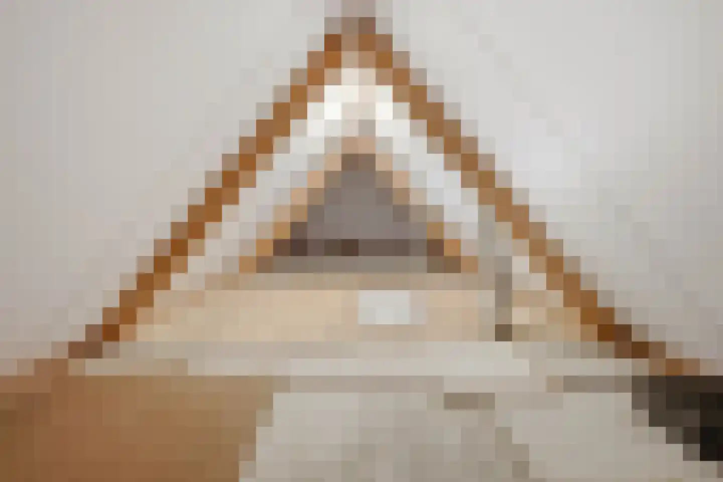 Beeksenhof 12 Oploo thumbnail 31