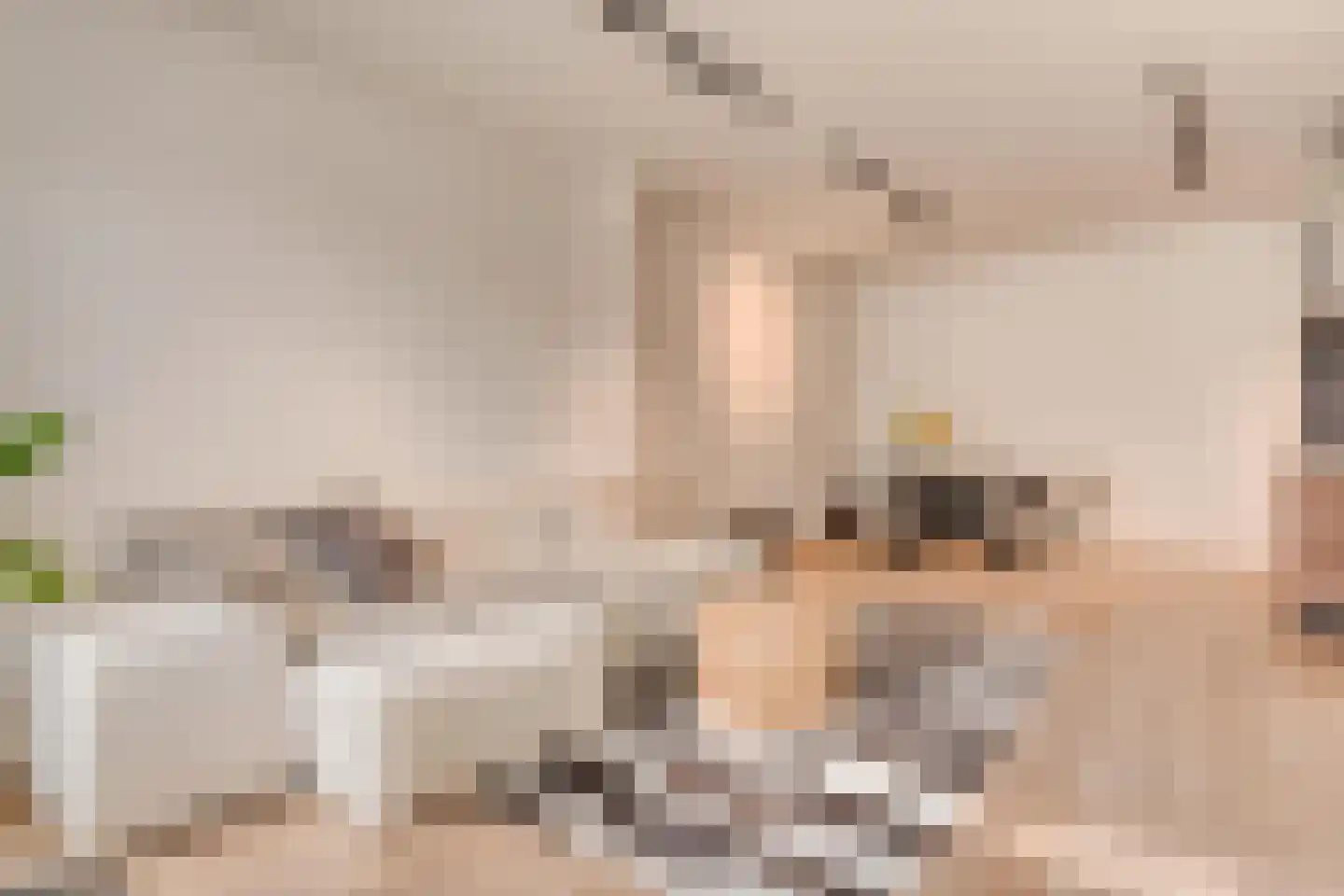 Beeksestraat 1 Prinsenbeek thumbnail 10