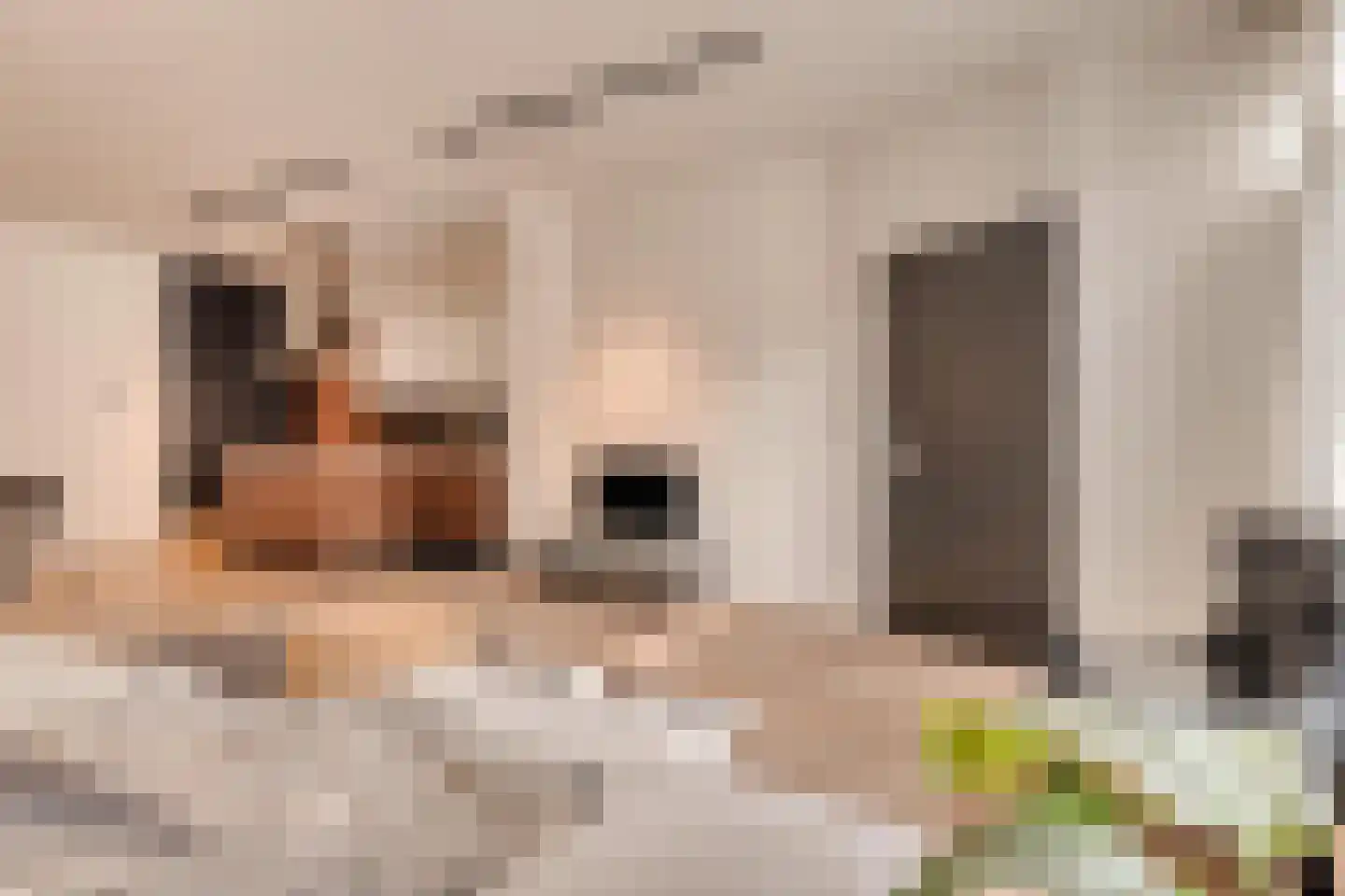 Beeksestraat 1 Prinsenbeek thumbnail 11