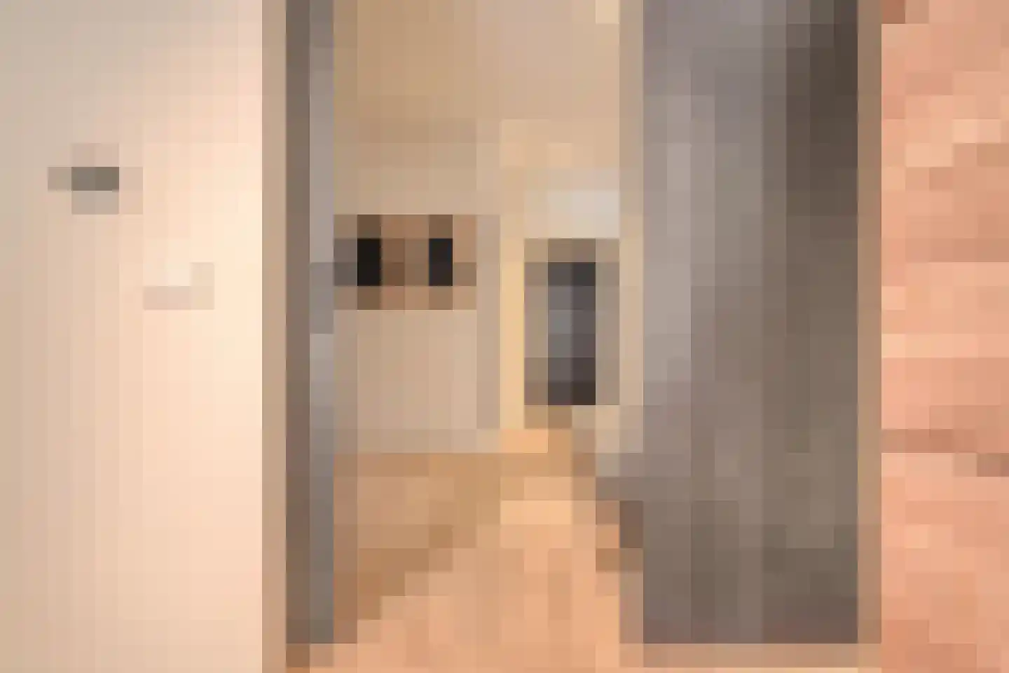 Beeksestraat 1 Prinsenbeek thumbnail 17