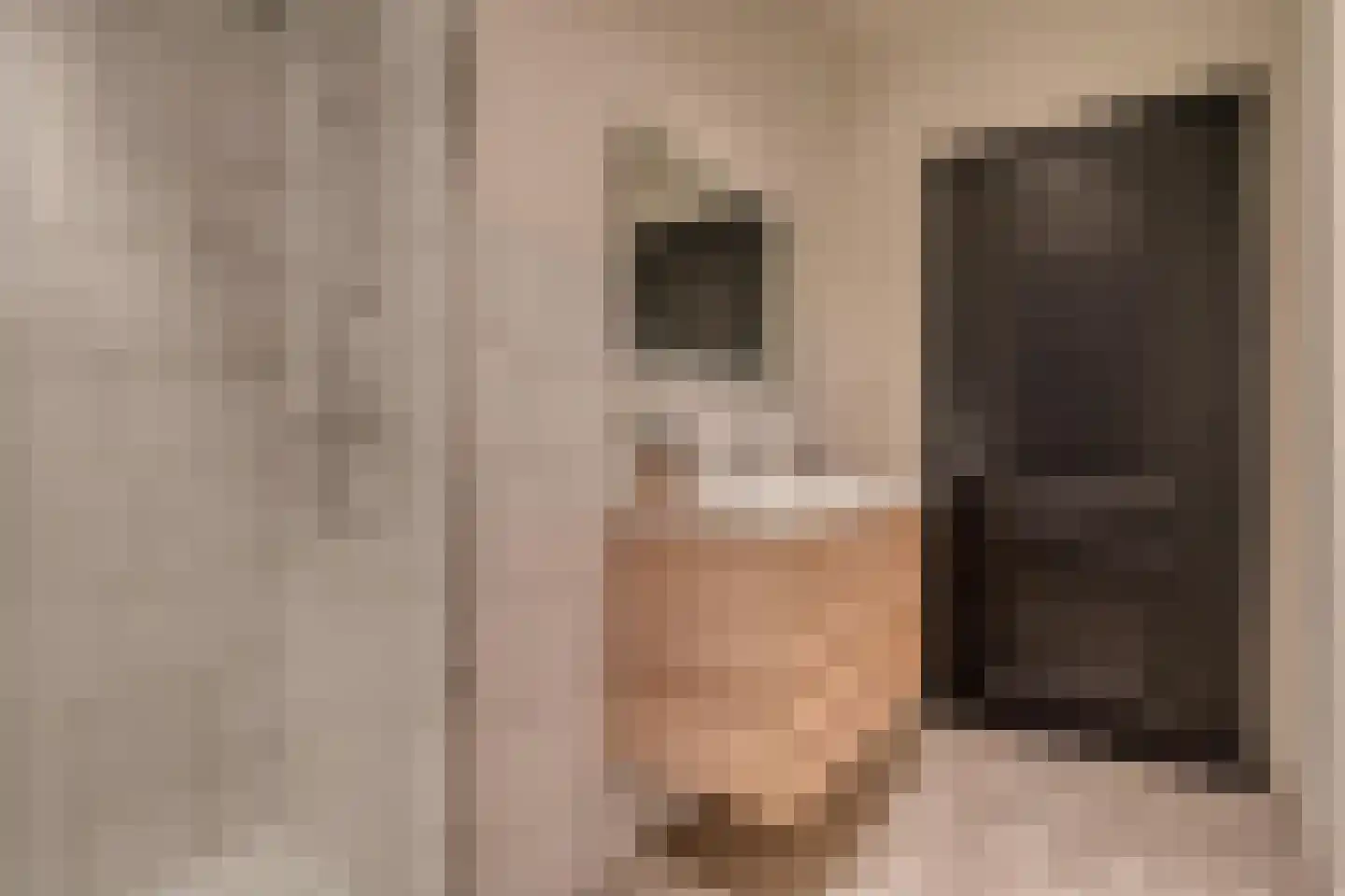 Beeksestraat 1 Prinsenbeek thumbnail 22