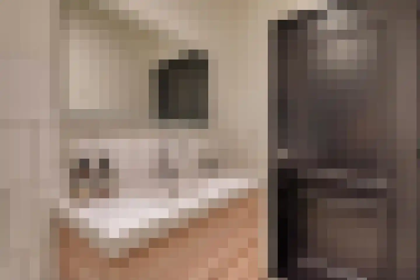 Beeksestraat 1 Prinsenbeek thumbnail 23