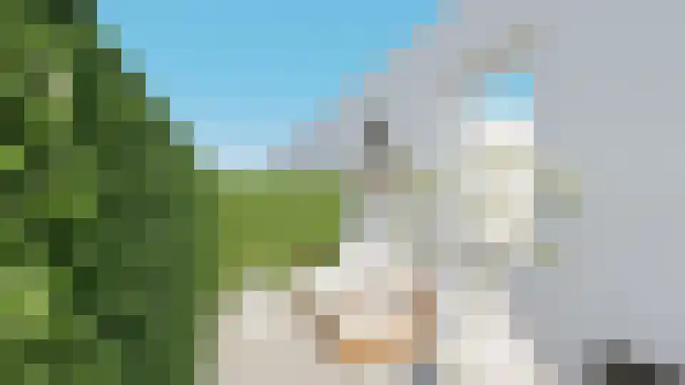 Beeksestraat 1 Prinsenbeek thumbnail 26