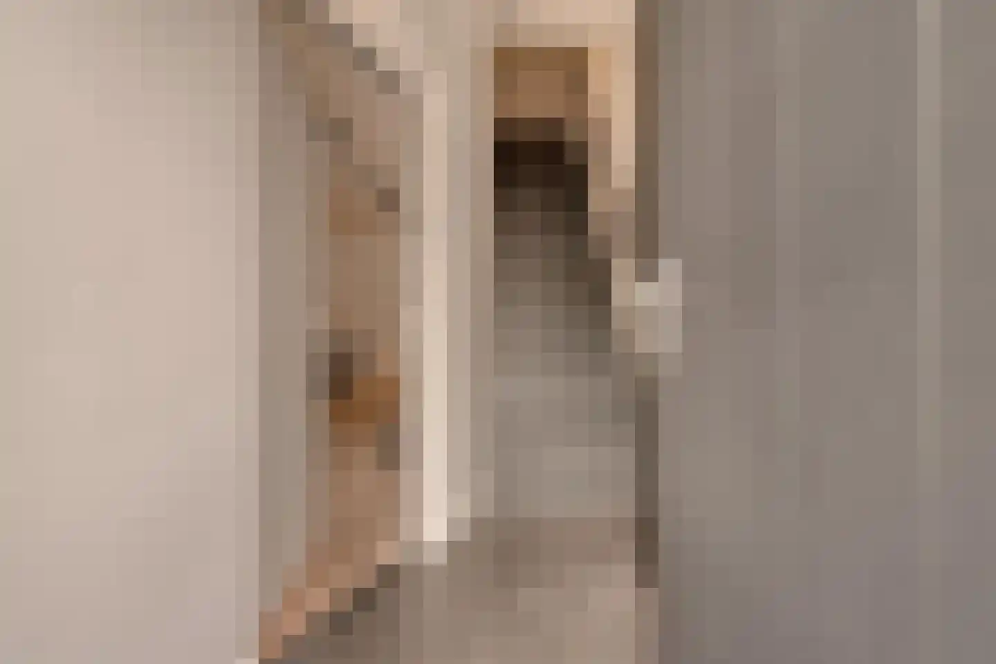 Beeksestraat 1 Prinsenbeek thumbnail 5