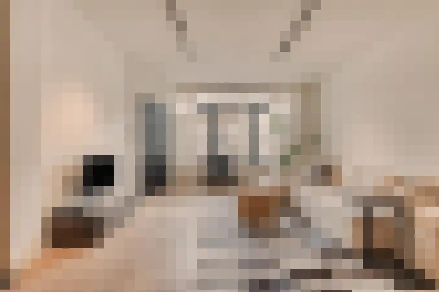 Beeksestraat 1 Prinsenbeek thumbnail 6