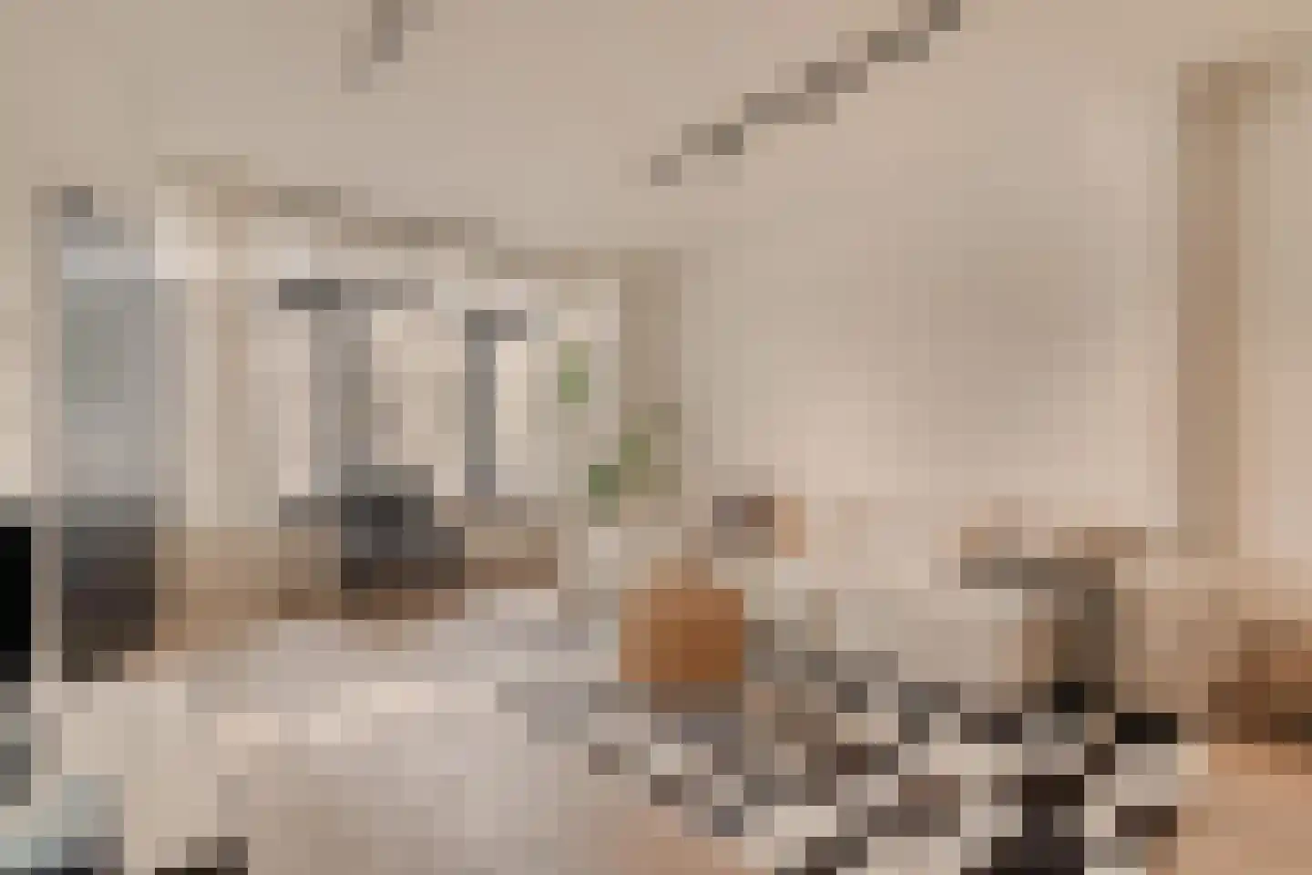 Beeksestraat 1 Prinsenbeek thumbnail 7