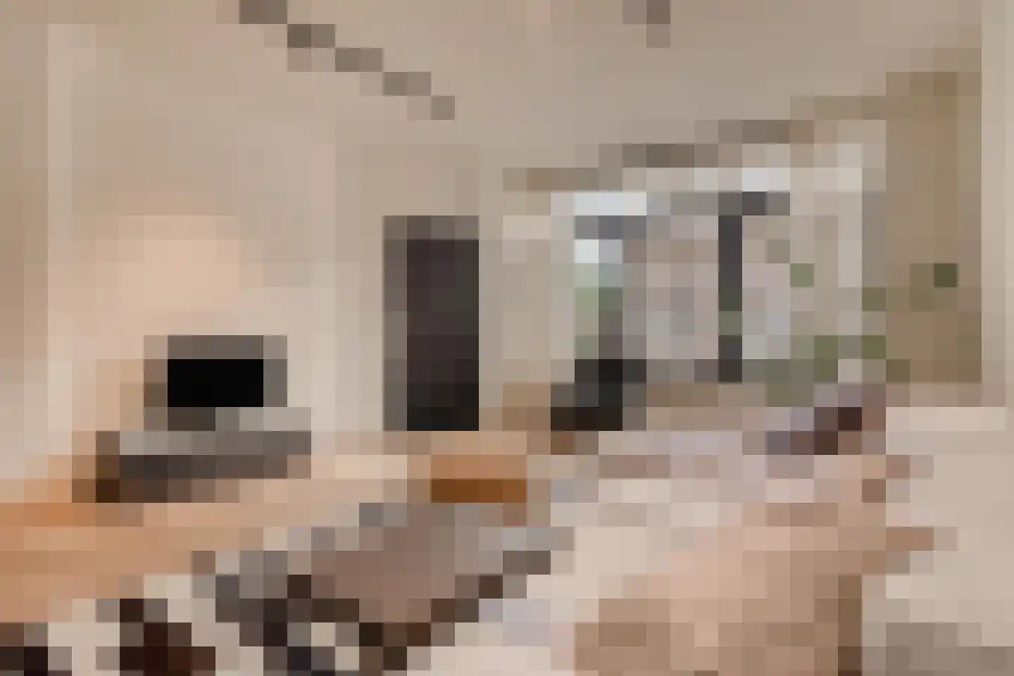 Beeksestraat 1 Prinsenbeek thumbnail 8