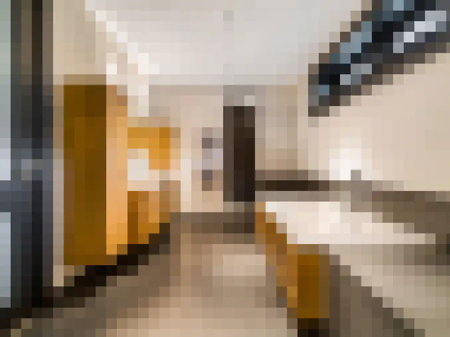 Beeksestraat 115 Prinsenbeek thumbnail 12