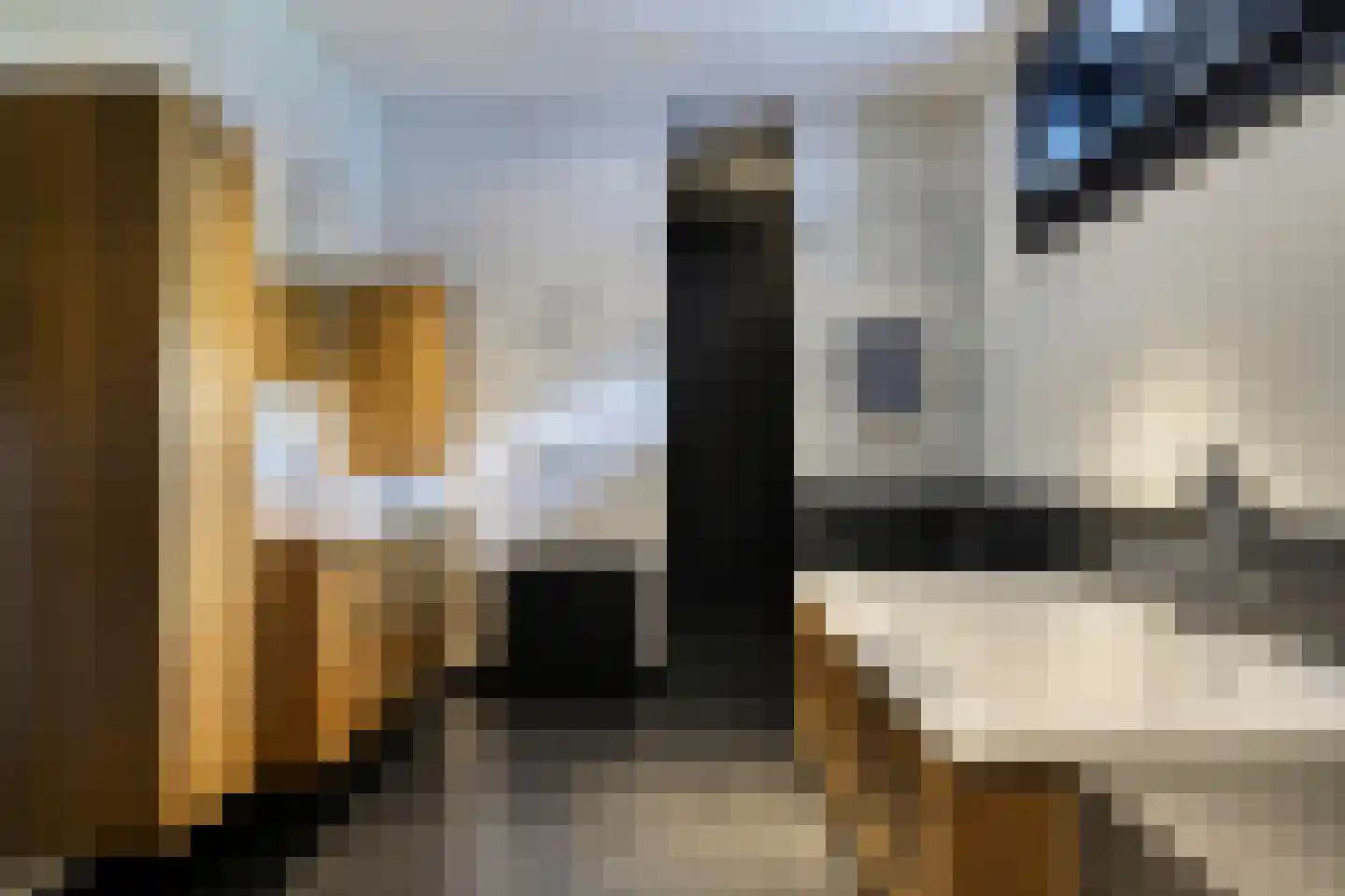 Beeksestraat 115 Prinsenbeek thumbnail 13