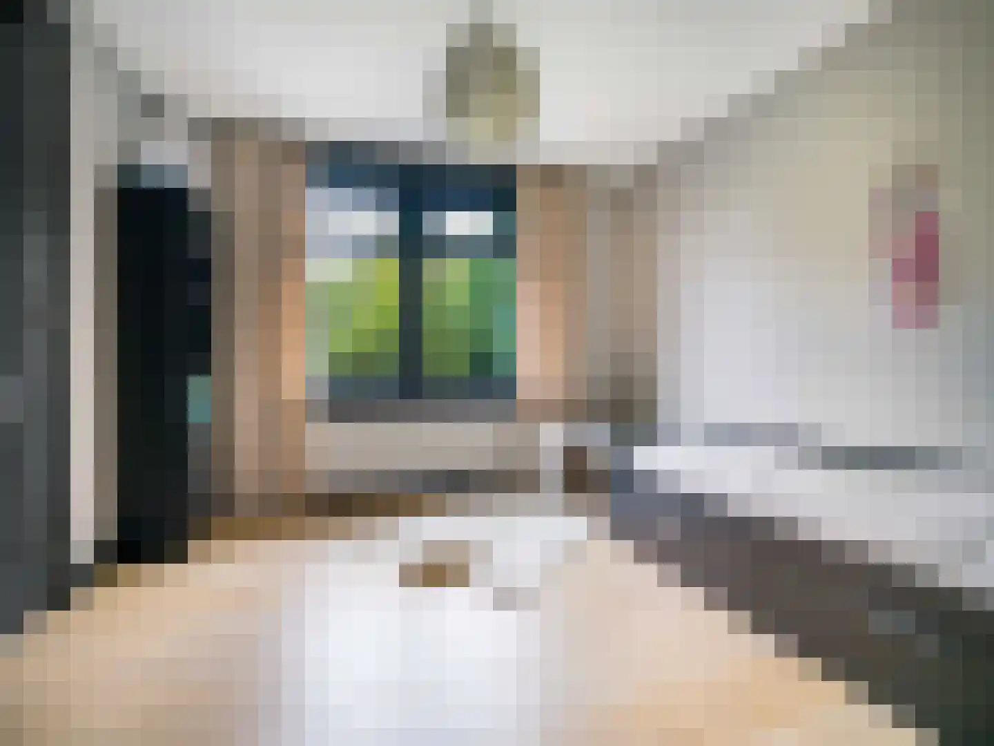 Beeksestraat 115 Prinsenbeek thumbnail 17