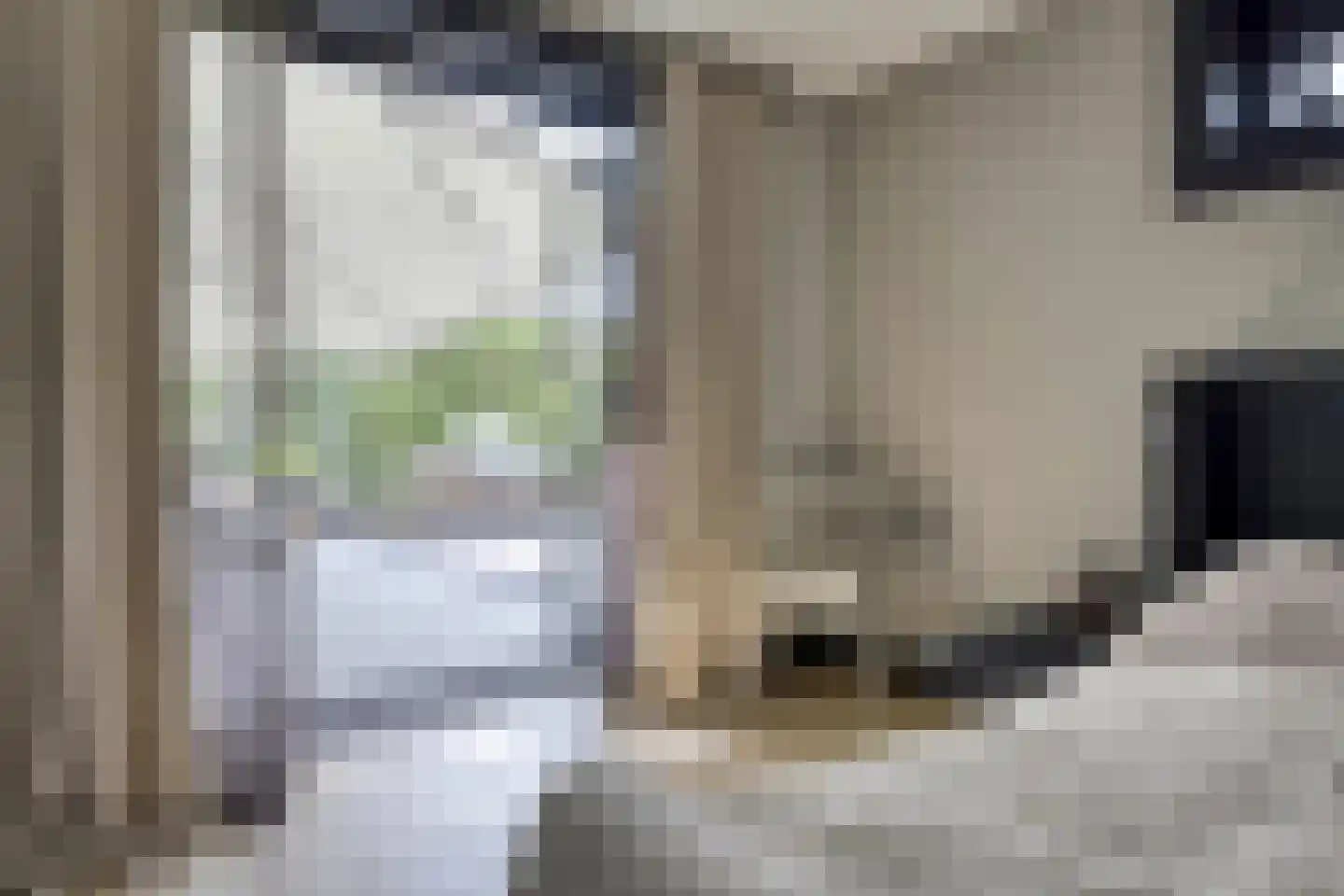 Beeksestraat 115 Prinsenbeek thumbnail 17