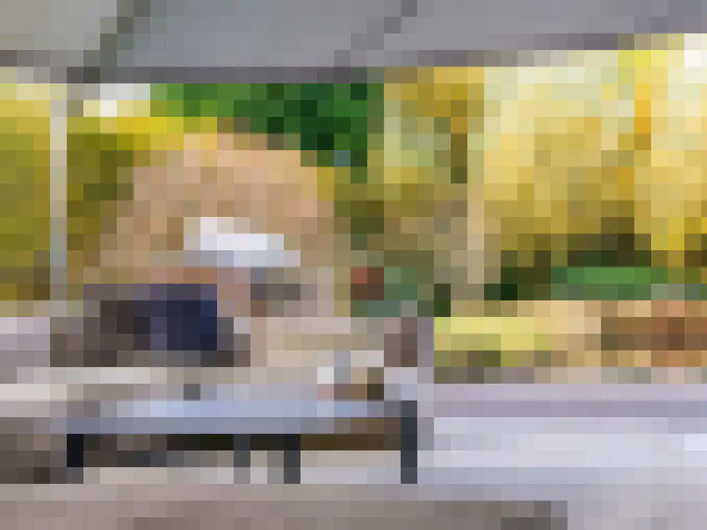 Beeksestraat 115 Prinsenbeek thumbnail 20