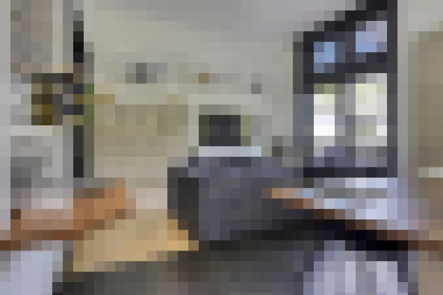 Beeksestraat 115 Prinsenbeek thumbnail 8