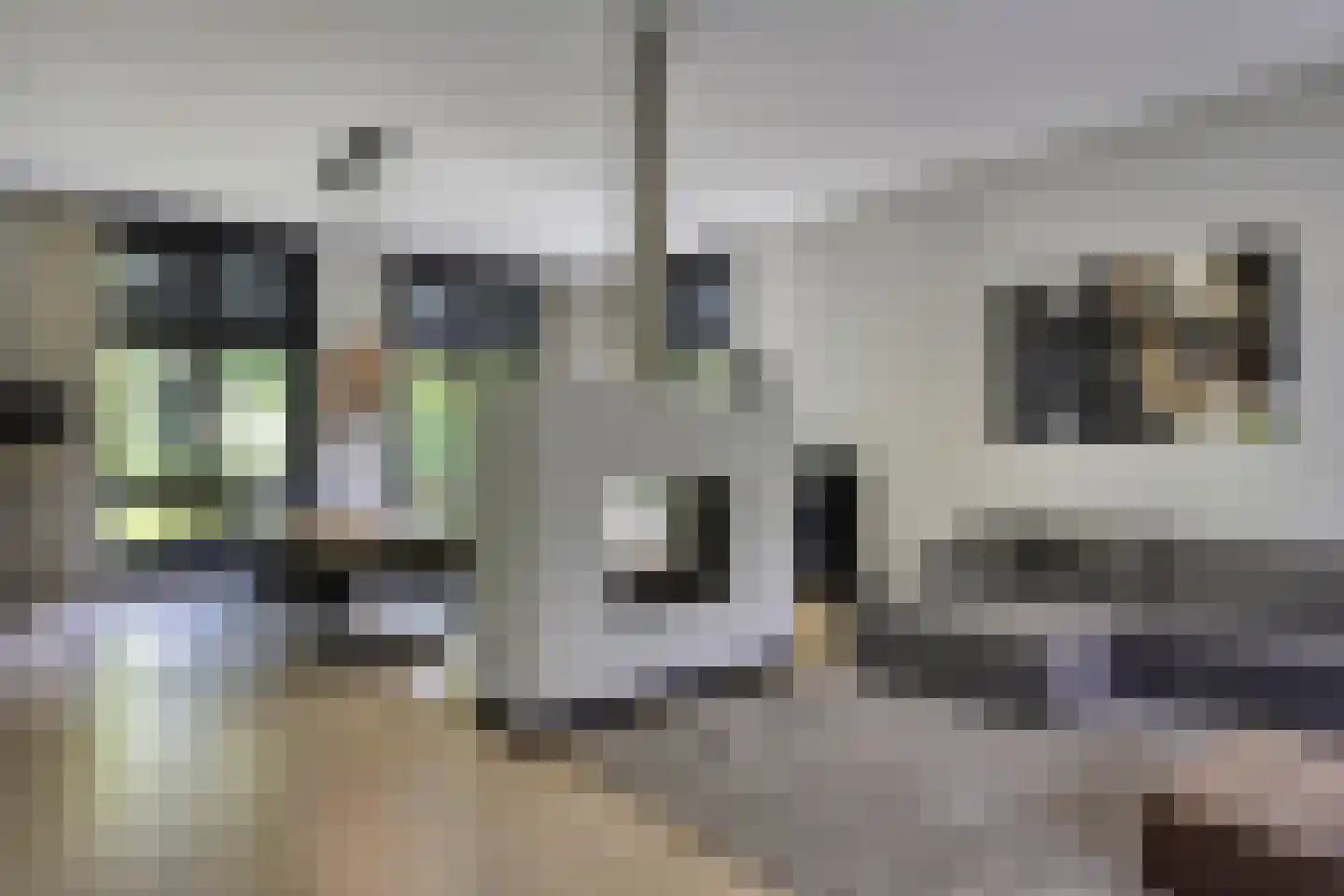 Beeksestraat 115 Prinsenbeek thumbnail 9
