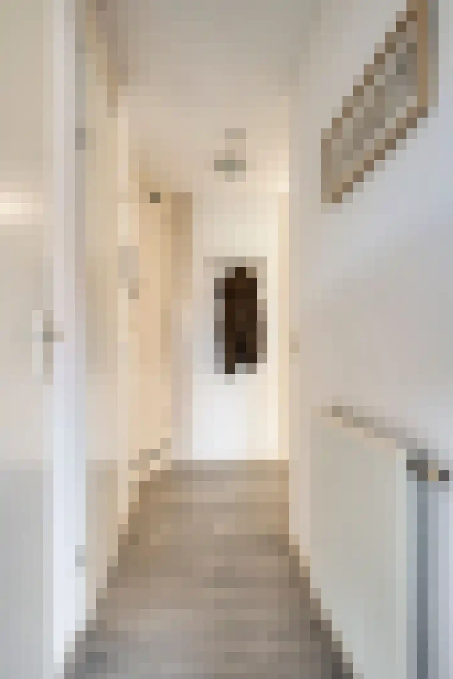 Beeksestraat 26 A Prinsenbeek thumbnail 10