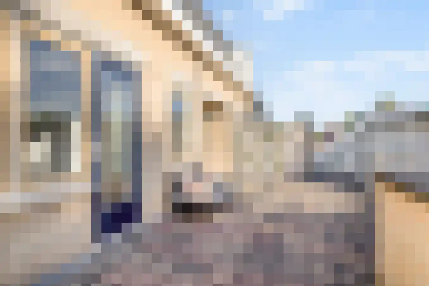 Beeksestraat 26 A Prinsenbeek thumbnail 8