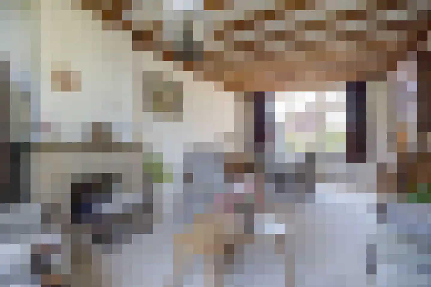 Beeksestraat 37 Prinsenbeek thumbnail 10