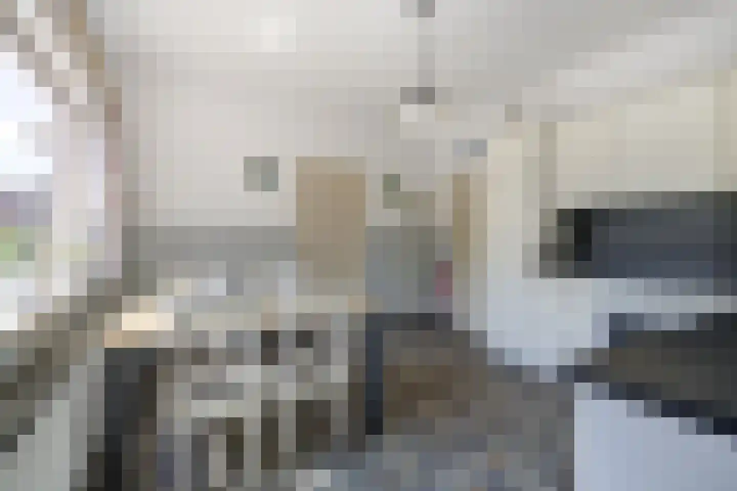 Beeksestraat 37 Prinsenbeek thumbnail 13
