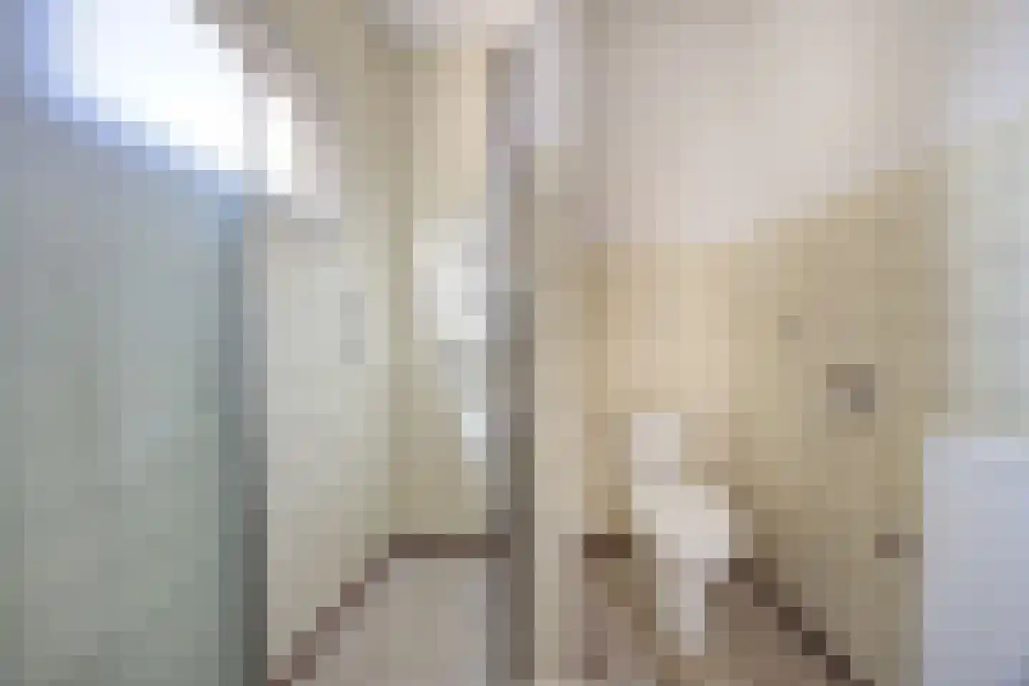 Beeksestraat 37 Prinsenbeek thumbnail 18