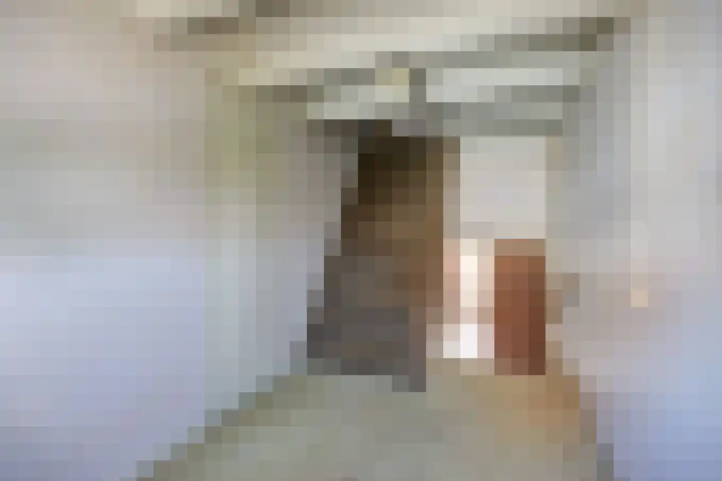 Beeksestraat 37 Prinsenbeek thumbnail 23