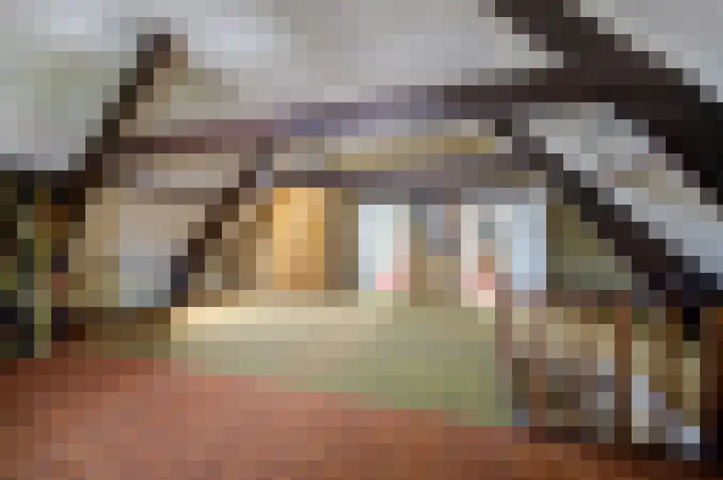 Beeksestraat 37 Prinsenbeek thumbnail 25