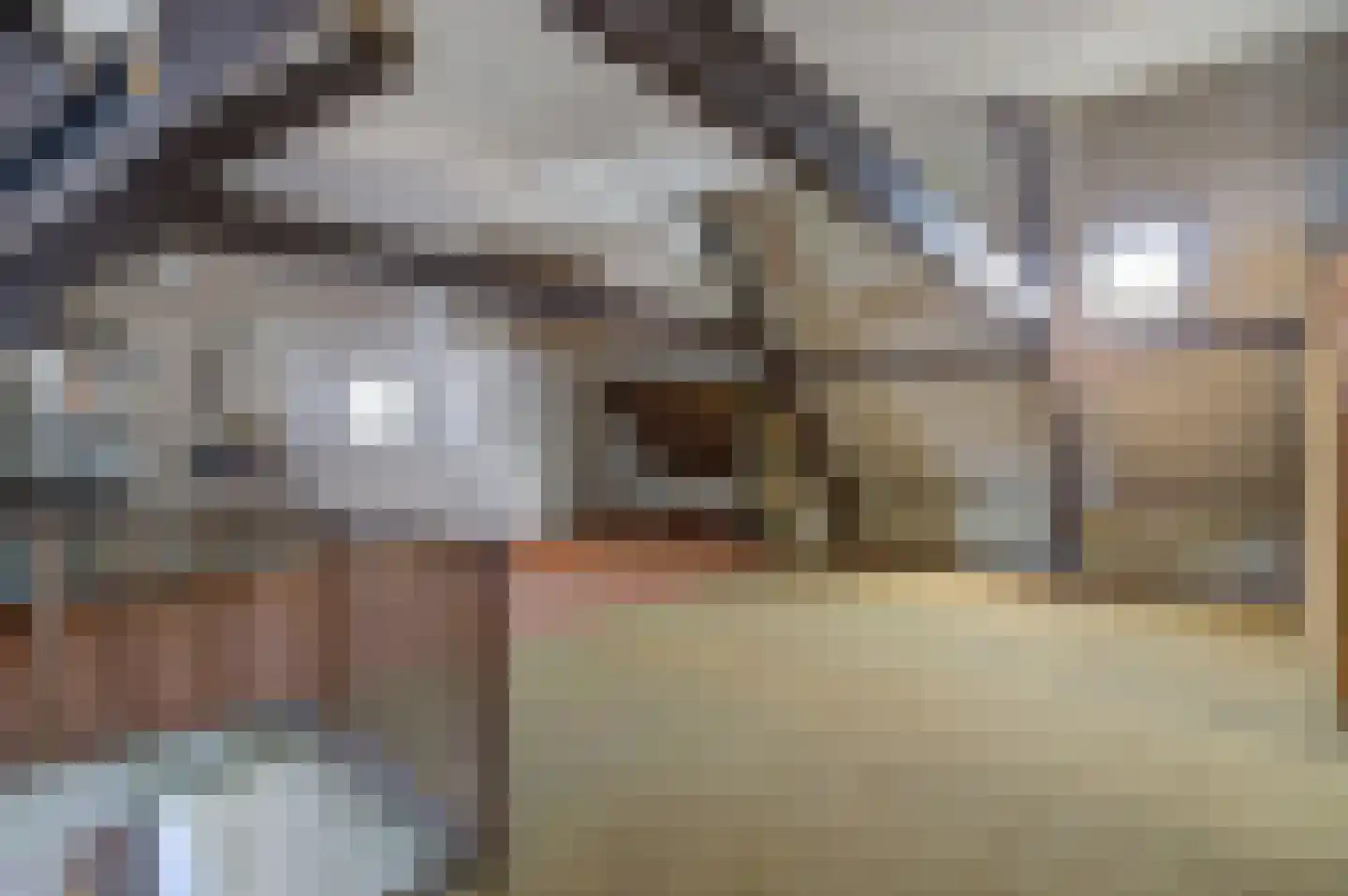 Beeksestraat 37 Prinsenbeek thumbnail 27