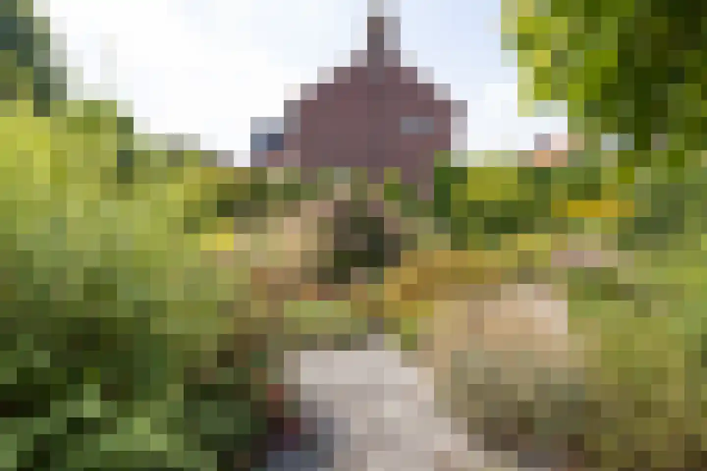 Beeksestraat 37 Prinsenbeek thumbnail 36