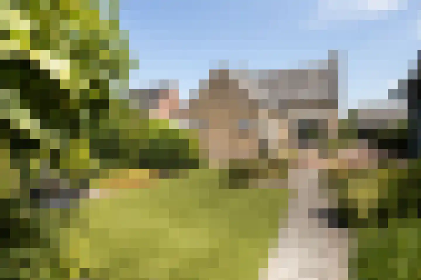 Beeksestraat 37 Prinsenbeek thumbnail 38