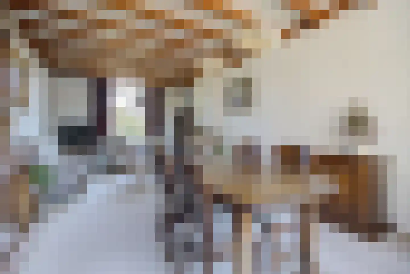 Beeksestraat 37 Prinsenbeek thumbnail 7