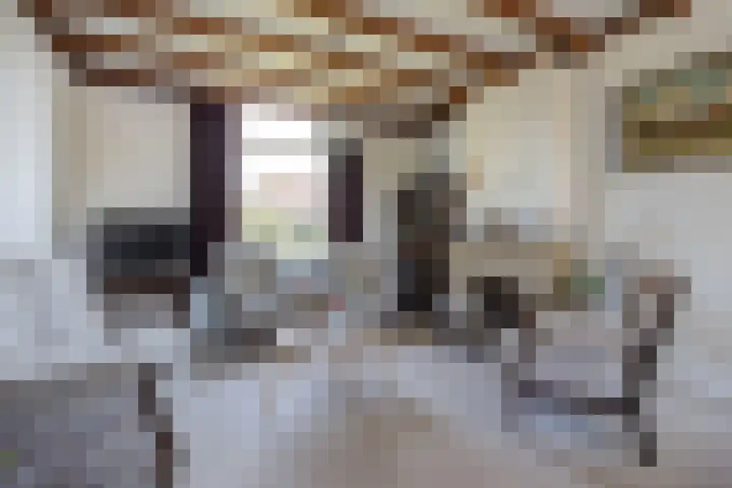 Beeksestraat 37 Prinsenbeek thumbnail 8